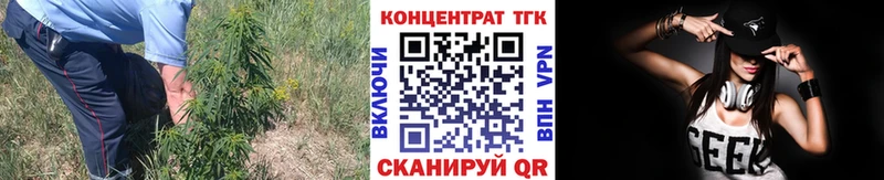 ТГК жижа МЕГА маркетплейс Жердевка